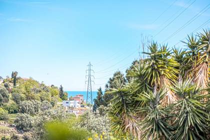 Winter Immobilier - Appartement - Nice - Estienne d’Orves / Parc Imperial / Pessicart - Nice - 91974946466321362ccbe16.95479509_1920.webp-original