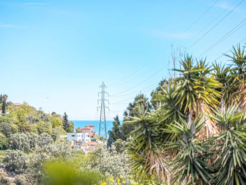 Winter Immobilier - Appartement - Nice - Estienne d’Orves / Parc Imperial / Pessicart - Nice - 91974946466321362ccbe16.95479509_1920.webp-original