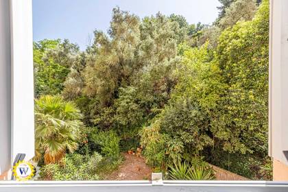 Winter Immobilier - Appartement - Nice - Californie / Ferber / Carras - Nice - 1457354304670e3074bf9e31.84113247_552b7c79ec_1920.webp-original